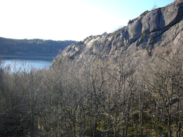 Another View